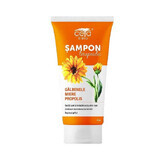 Shampoo con calendule, propoli e miele, 200 ml, Ceta