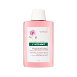 Shampoo for irritated scalp with peony, 200 ml, Klorane