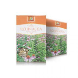 Tisana Echinacea, 50 g, Stef Mar Valcea