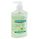 Sapone liquido antibatterico con aloe vera e t&#232; verde, 250 ml, Sanytol