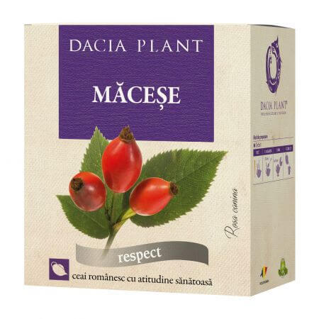 Dandelion tea, 50 g, Dacia Plant