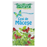 Macese Tea, 20 doses, Plafar