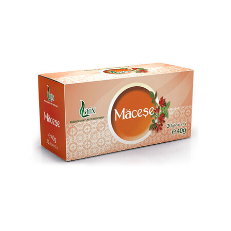 Macese Tea, 20 sachets, Larix