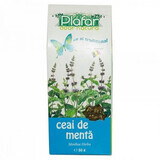 Té a la menta, 50 g, Plafar