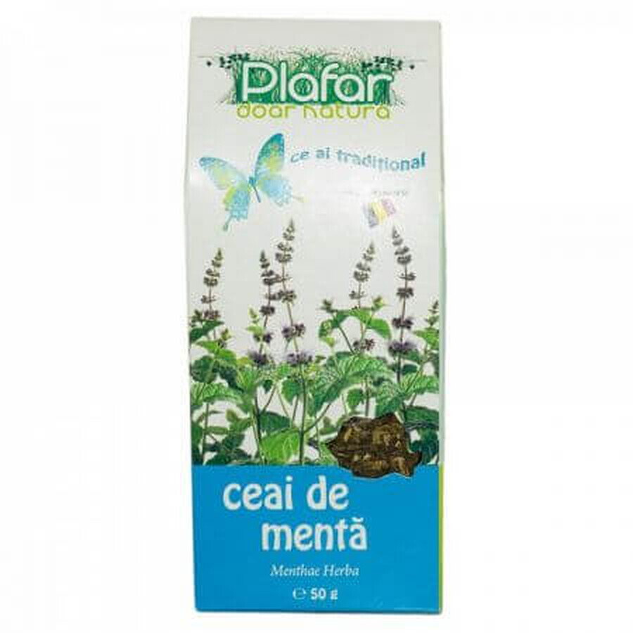 Mint Tea, 50 g, Plafar