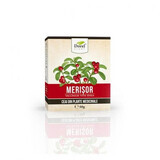 Cranberry tea, 50 g, Dorel Plant