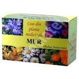 Wall Tea, 30 g, Hypericum