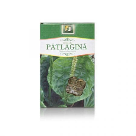 Patlagina Tea, 50 g, Stef Mar Valcea