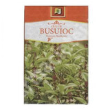 Basil herbal tea, 50 g, Stef Mar Valcea