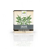 Tè alla salvia, 50 g, Pianta di Dorel