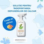 Soluzione per rimuovere i depositi di calcare dal bagno con scorza di agrumi, 800 ml, Attitude