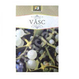 Vask tea, 50 g, Stef Mar Valcea