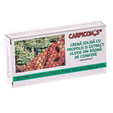 Supposte Carpricon S, 10 pz, Elzin Plant