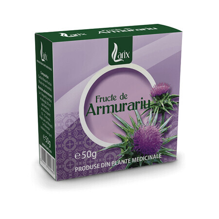 Armour Fruit Tea, 50 g, Larix