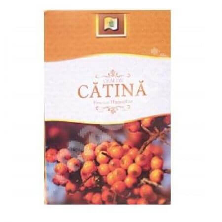 Catina Fruit Tea, 50 g, Stef Mar