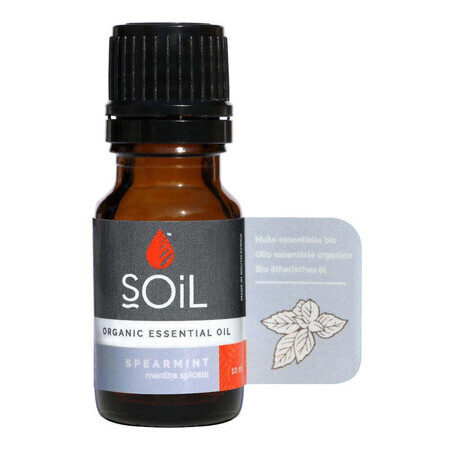 Aceite esencial de menta creado Puro 100% Ecológico ECOCERT, 10 ml, Suelo.