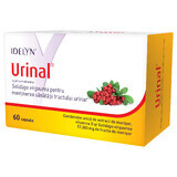 Idelyn Urinal, 60 capsules, Walmark