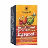 Fruit tea set Try it, 20 sachets, Sonnentor