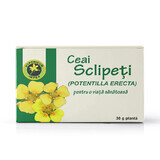 Sclipeti Tee, 30g, Hypericum