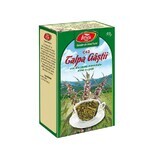 Talpa Catnip Tea, C42, 50 g, Fares