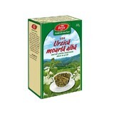 White Nettle Tea, U94, 50 g, Fares