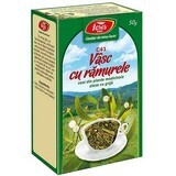 Mistletoe tea with twigs C41, 50 g, Fares