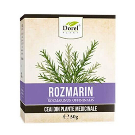 Tè al rosmarino, 50g, pianta di Dorel