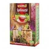 Splinuta Tea, 50 g, AdNatura