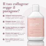 Collagen Repair, Acid Ialuronico, Vitamine e Minerali, 500 ml, Swedish Collagen