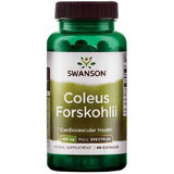 Coleus Forskohlii, 60 capsules, Swanson Health USA