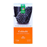 Colitophyte tea, 50 g, Steaua Divina