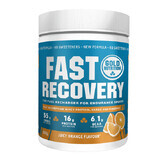 Fast recovery powder with orange flavour, 600 g, Gold Nutrition