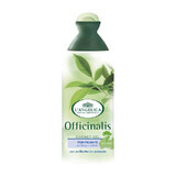 L ANGELICA D/S TEA TREE OIL 250 ML