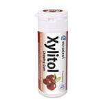 Cranberry chewing gum - Miradent Xylitol, 30 pcs, Hager&amp;Werken