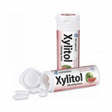 Xylitol sugar-free watermelon chewing gum, 30 g, Hager