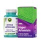 Hyper Artemisina, 60 capsule, Iperico