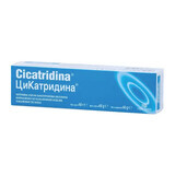 Cicatridine ointment, 60 g, Farma-Derma