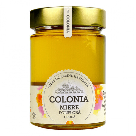 Cologne raw ploriander honey, 420 g, Evicom Honey