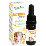 Mullein Junior Energotonic Ear Drops, 15 ml, Plant Extrakt