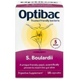 Probiotic Saccharomyces Boulardii, 16 capsules, OptiBac