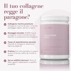 Pure Collagen Hydrolysate Powder 10,000 mg, 300 g, Swedish Collagen