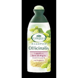 L ANGELICA SH USO FREQUENTE 250 ML