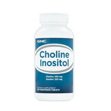 Choline 250 mg and Inositol 250 mg (012767), 100 tablets, GNC