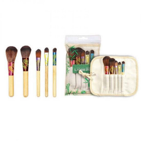 Set pennelli trucco, 5 pezzi, Lionesse