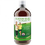 Silicium bio G5 Siliplant, 1000 ml, Pronat