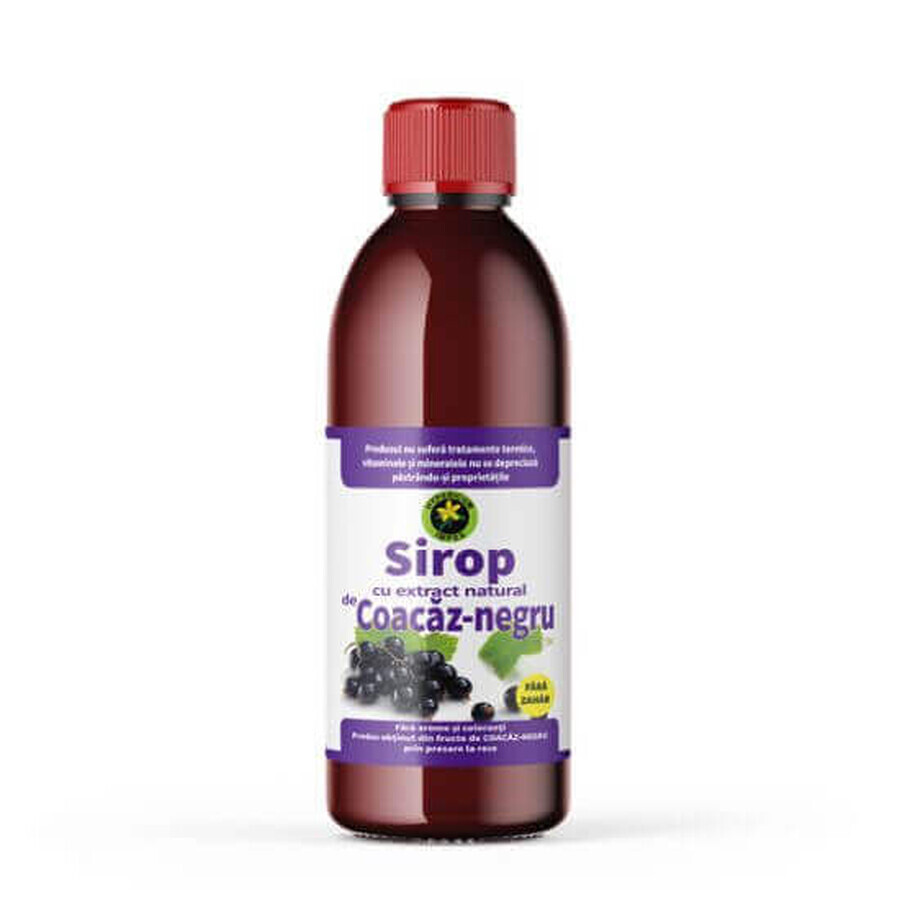 Blackcurrant Syrup without sugar, 500ml, Hypericum