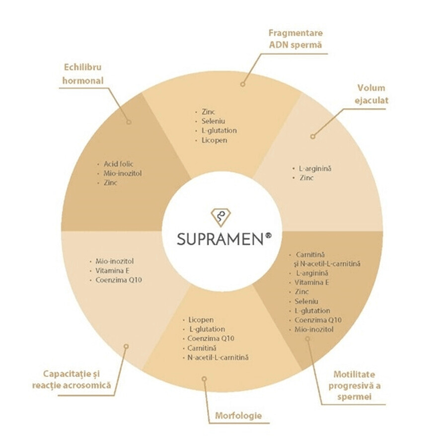 Supramen, 120 capsule, Establo Pharma