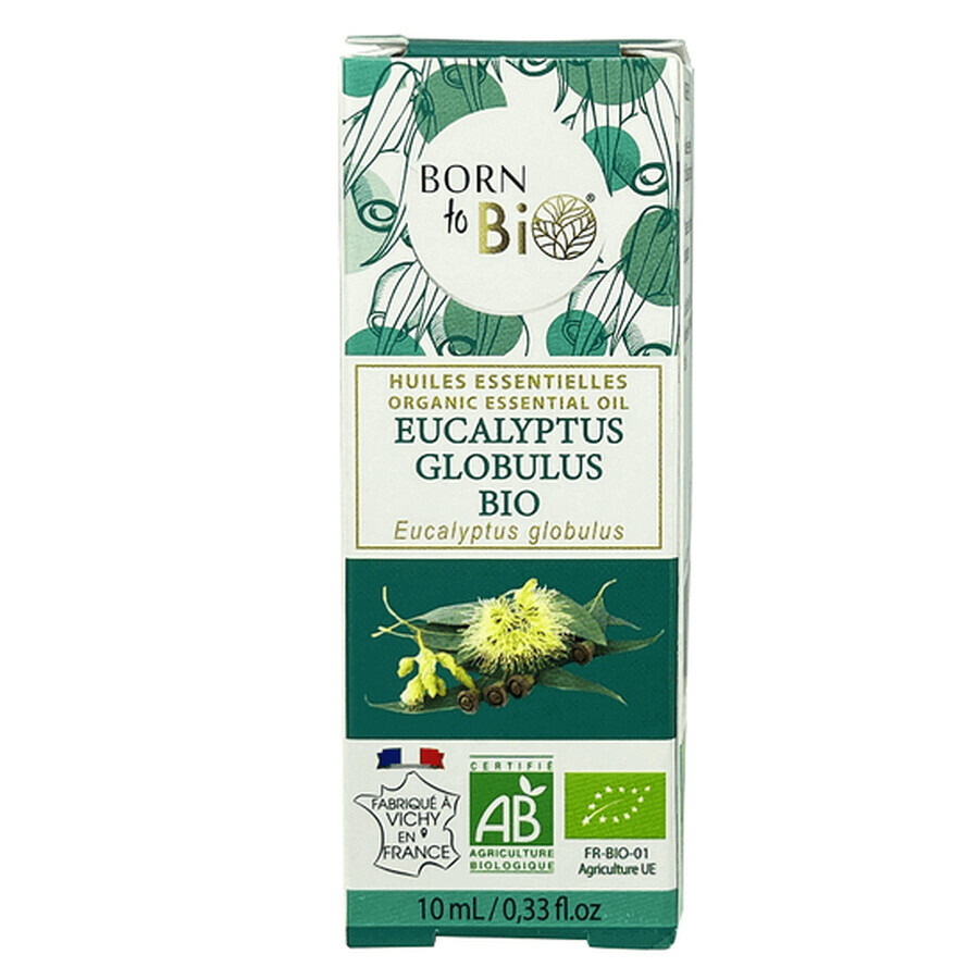 Globus Bio Olio Essenziale di Eucalipto, 10 ml, Born to Bio