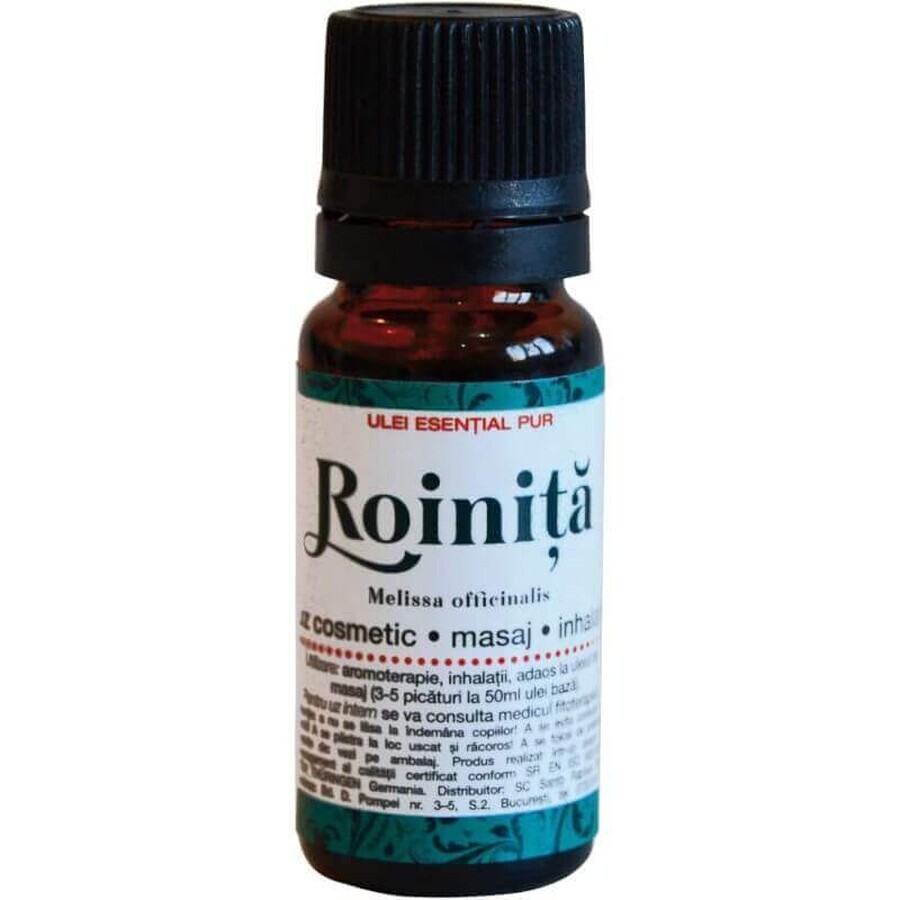 Reines ätherisches Öl von Rosmarin, 10ml, Divine Star