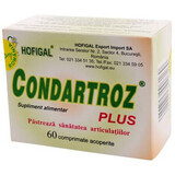 Conartrosi Plus, 60 compresse, Hofigal